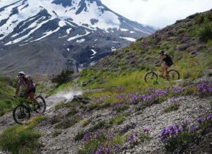 Mountain biking near mt hood