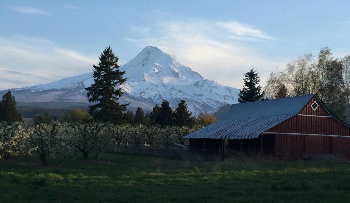 Mt Hood From Solera Brewing_Becky Brun