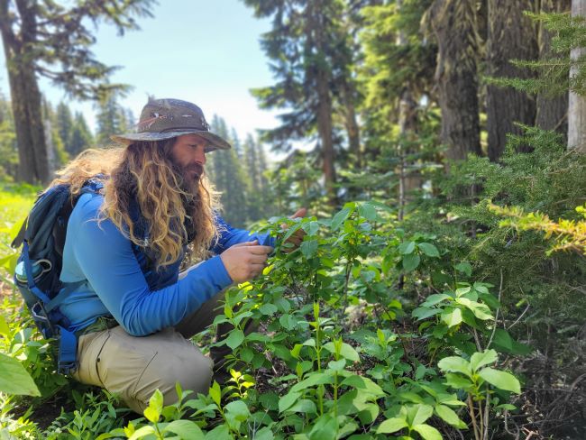 Guided hike and educational session with Jesse Eaton