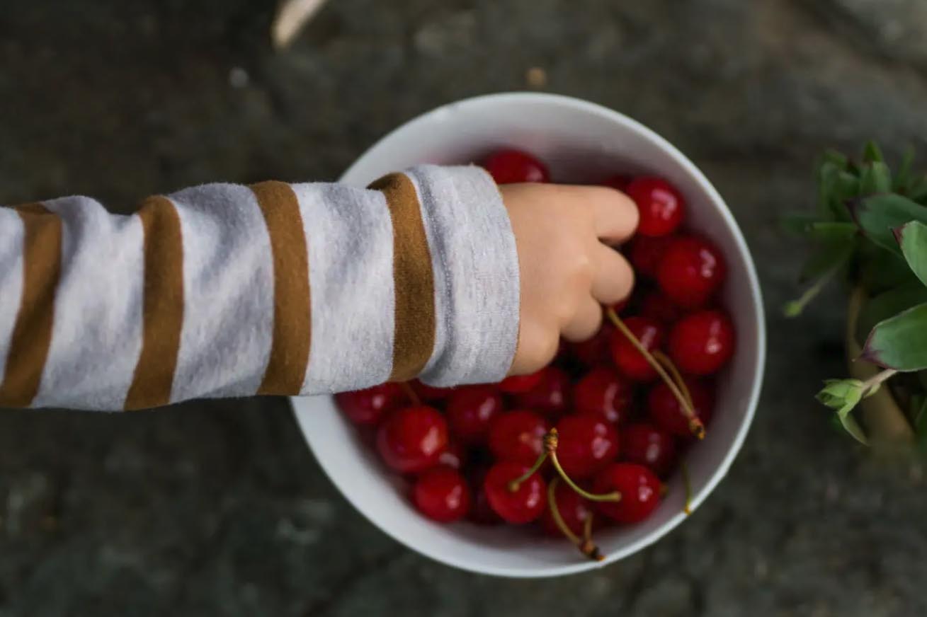 Boy eating cherries